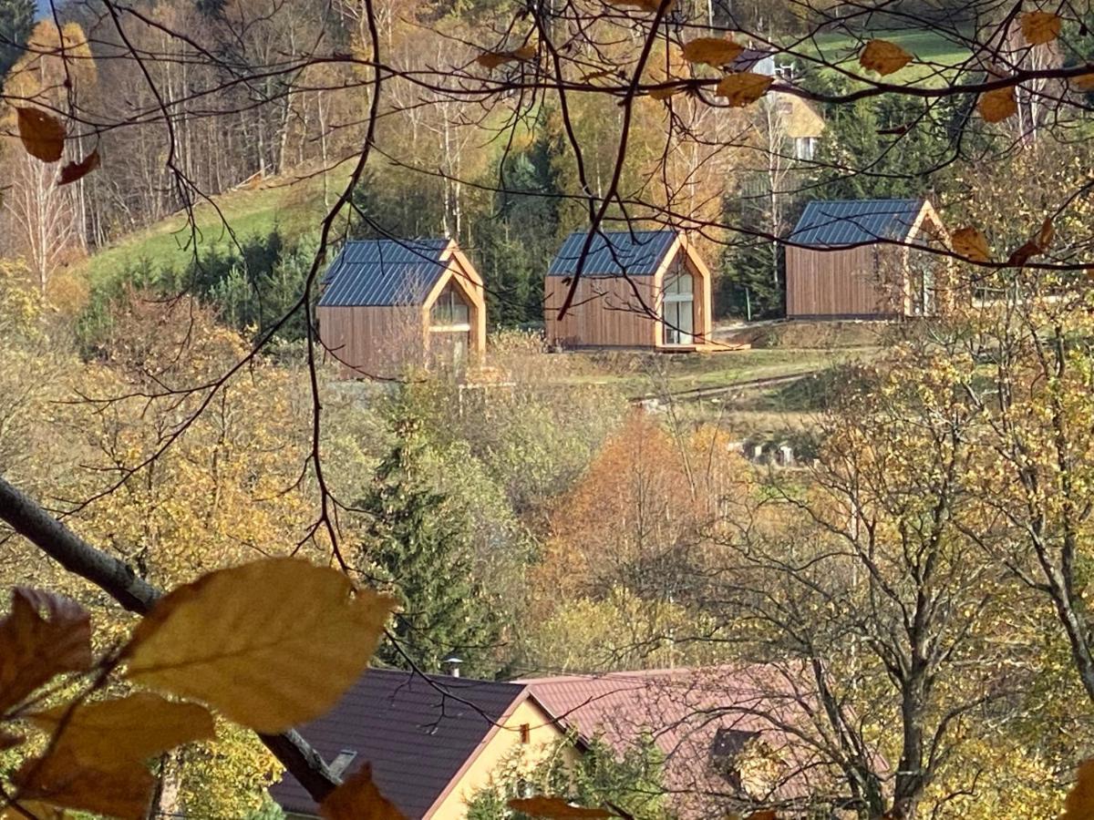 Domki Pod Lasem - Domek Sosnowy Stronie Slaskie Exterior foto