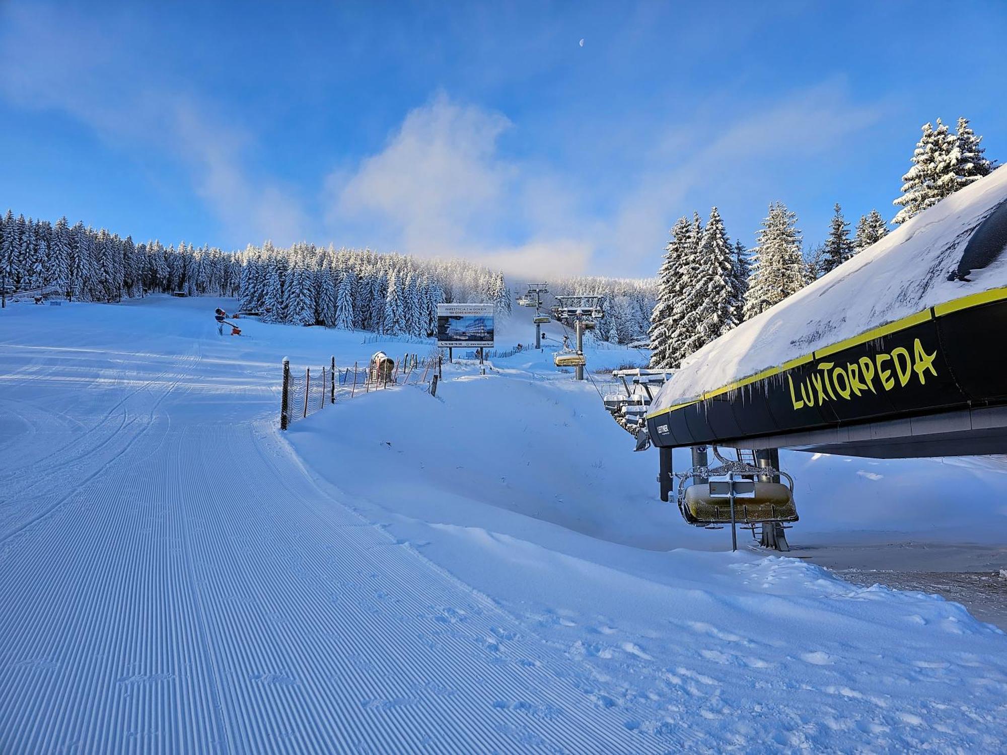 Domki Pod Lasem - Domek Sosnowy Stronie Slaskie Exterior foto